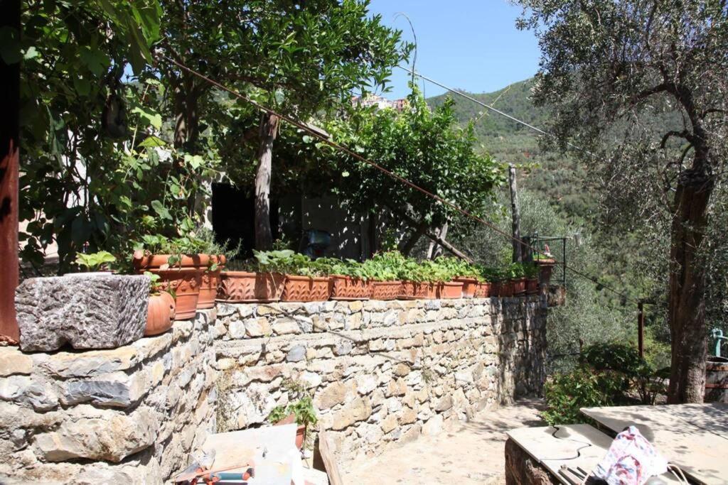 Le Case Della Lizza - Casa Blu Levanto Ngoại thất bức ảnh